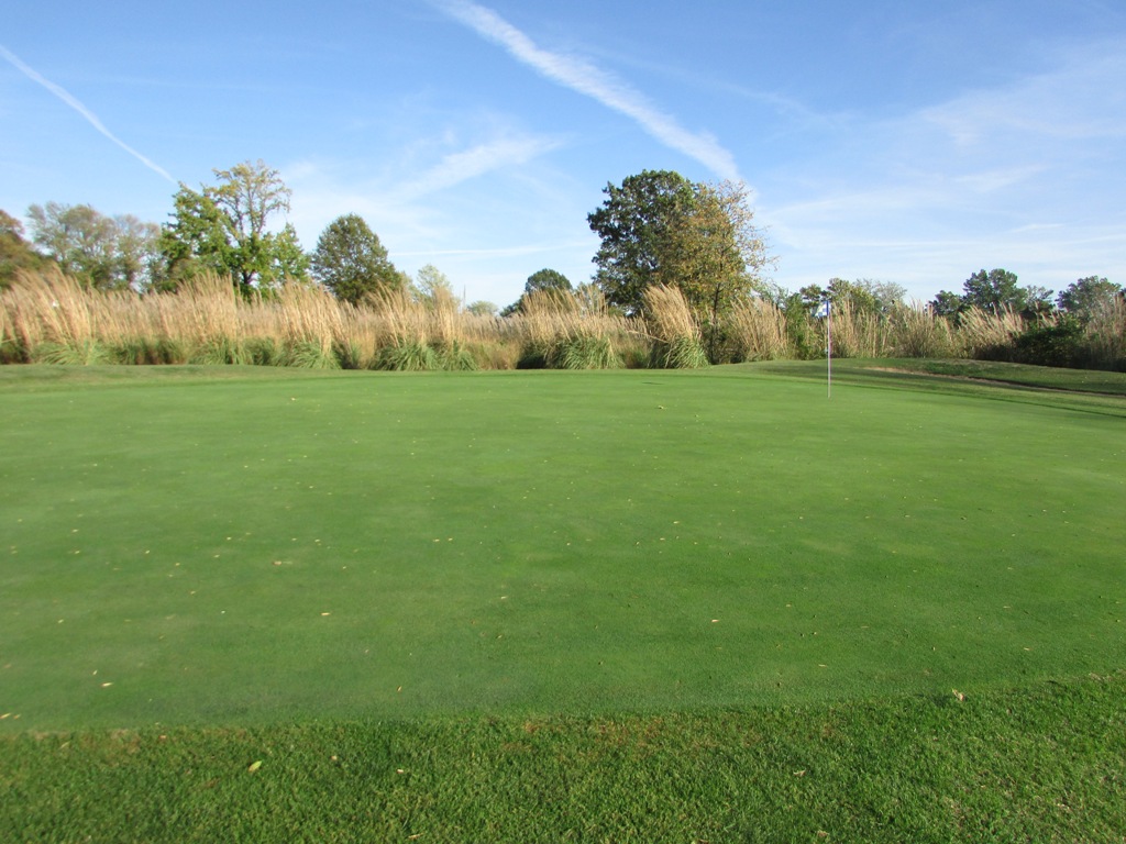 Hole 13 Green