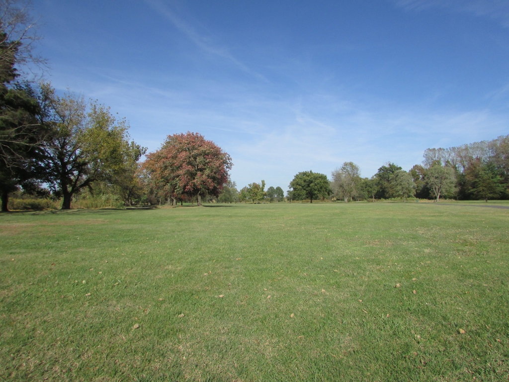Course Info Arlington Greens Golf Course