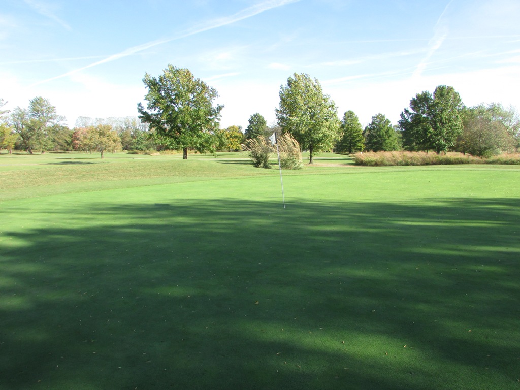 Hole 7 Green 