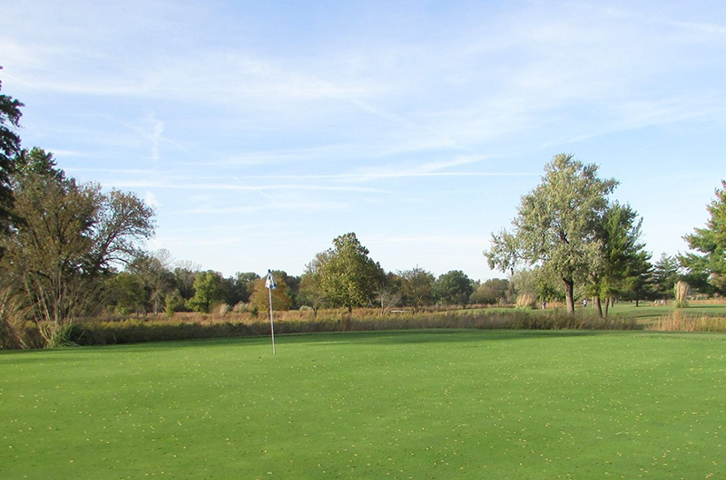view of golf course